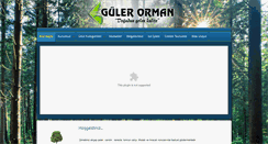 Desktop Screenshot of gulerorman.com