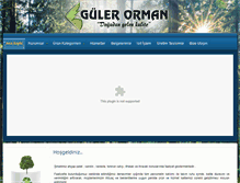 Tablet Screenshot of gulerorman.com